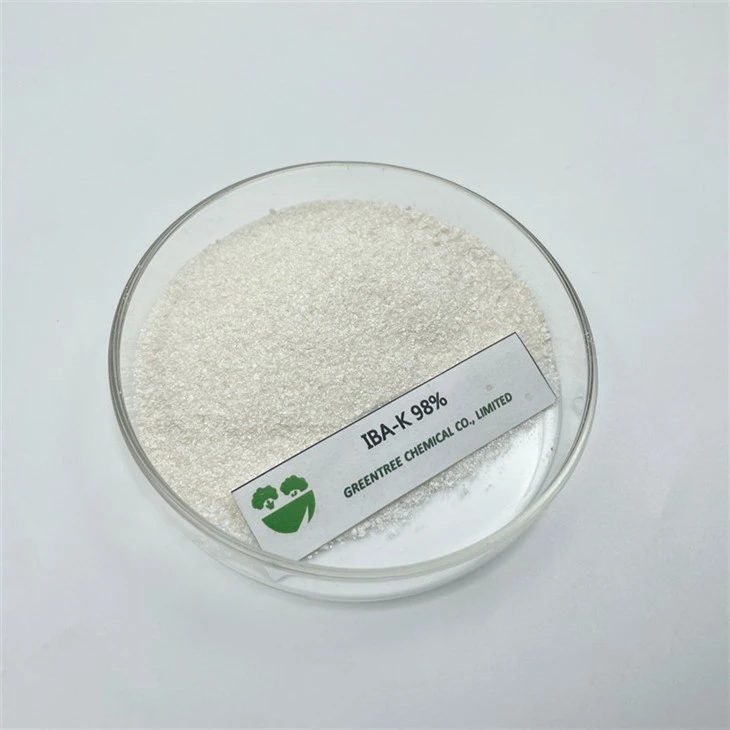 CAS No. 60096-23-3 IBA-K Indole Butyric Acid 98% Technical