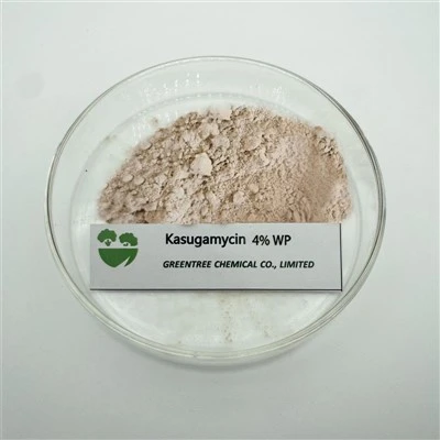 CAS NR. 6980-18-3 Kasugamycin 4 % WP-pulver C19H18ClN3O4